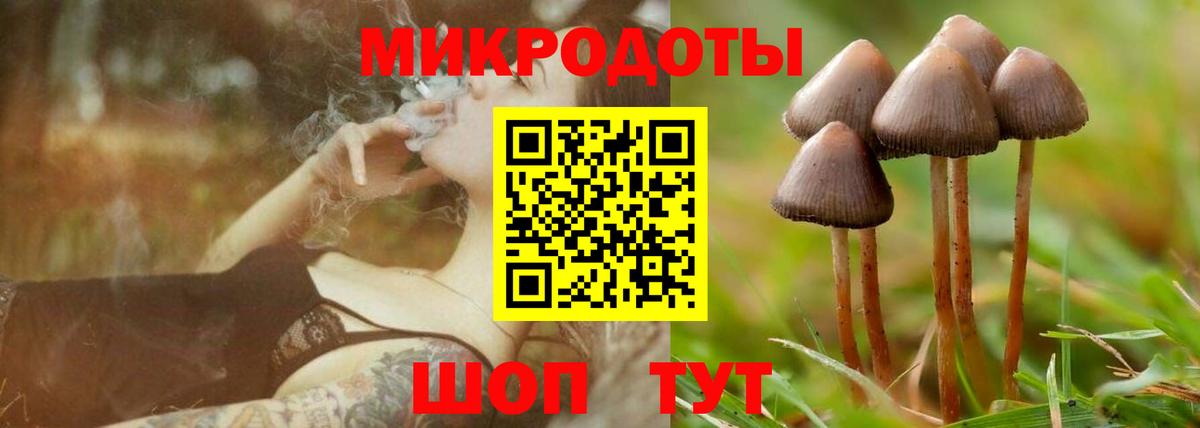 Каменск-Уральский  Псилоцибиновые грибы мицелий  купить закладку  Вход с VPN 